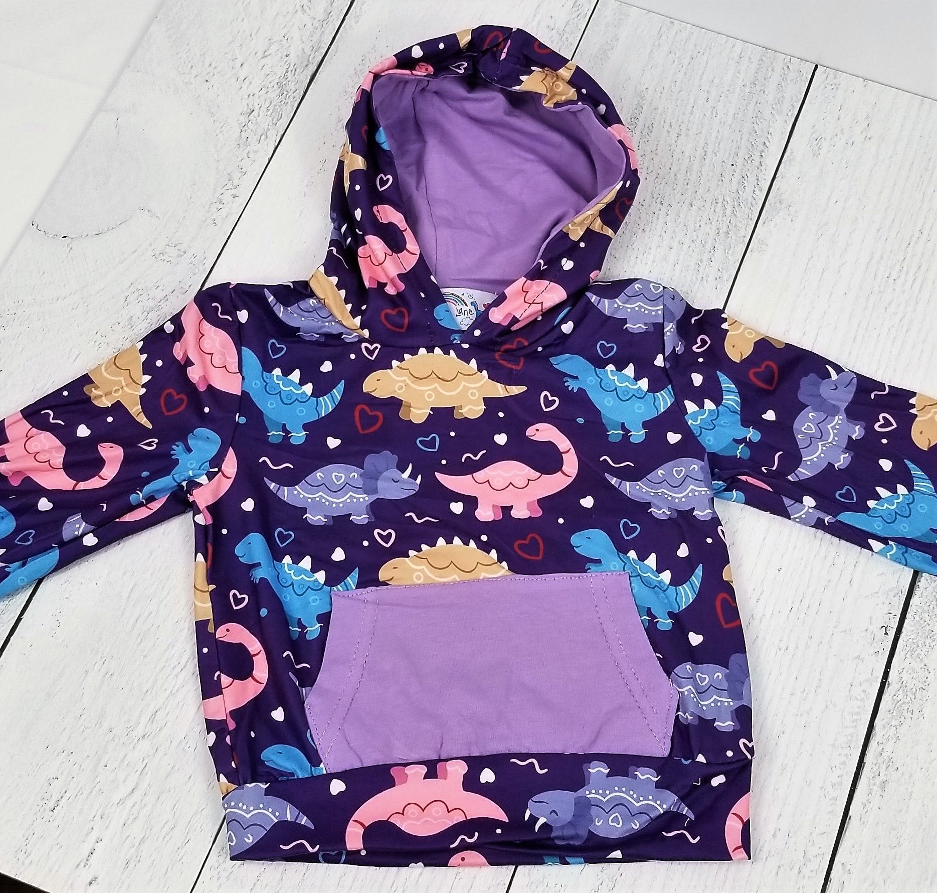 Preorder: Fletcher Lane Dinosaur Hooded Sweatshirt